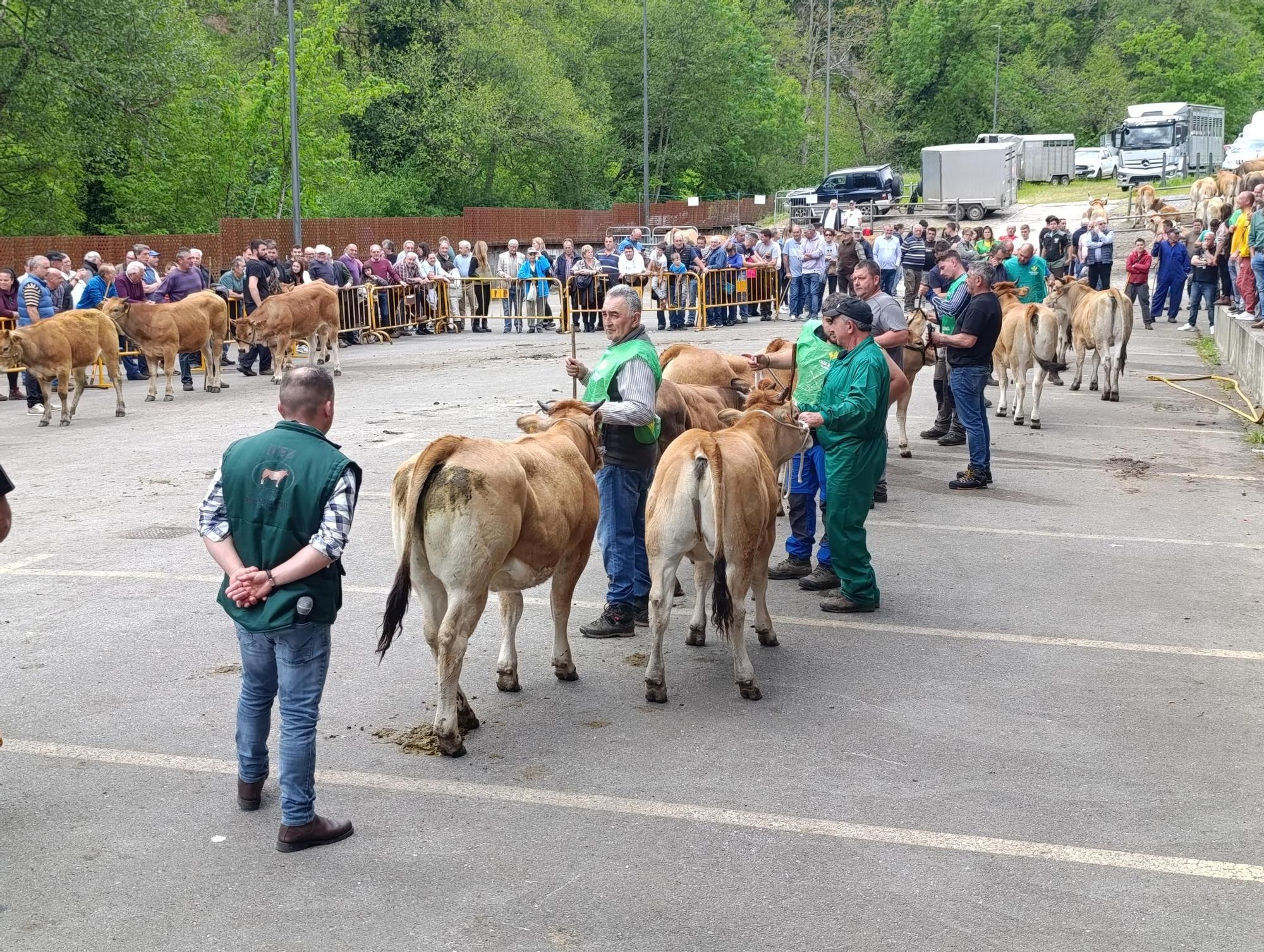 El XXXI Certamen-Exposición de Asturiana de los Valles de Teverga, en imágenes