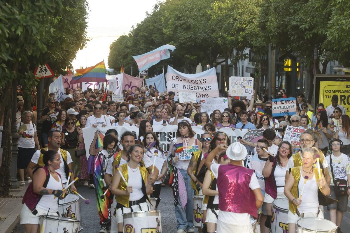 Un momento del recorrido de la marcha por el Centro de Córdoba.