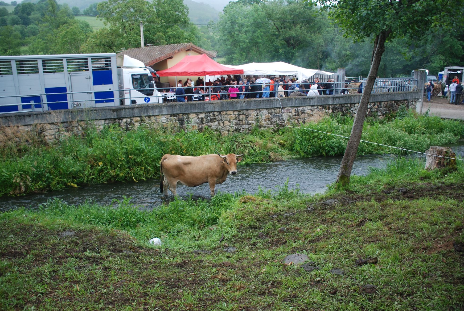 Feriona de Corao (Cangas de Onís)