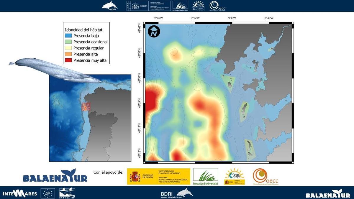 Un mapa en el que se muestra la zona de distribución de las ballenas azules localizadas.