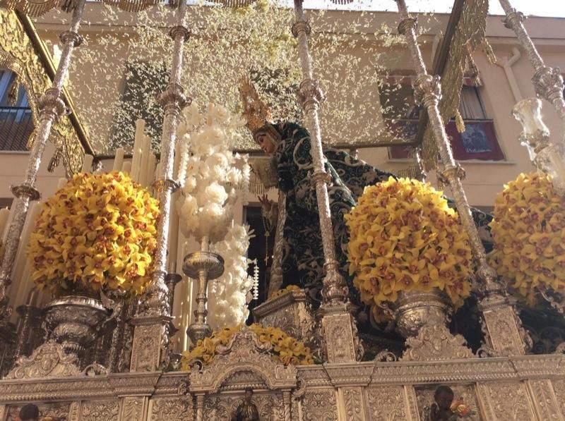 Domingo de Ramos de 2016 | Pollinica