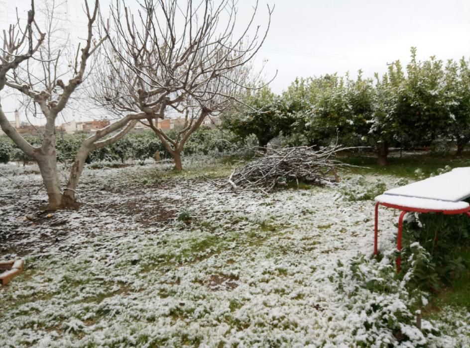 Nieve en Javalí Nuevo