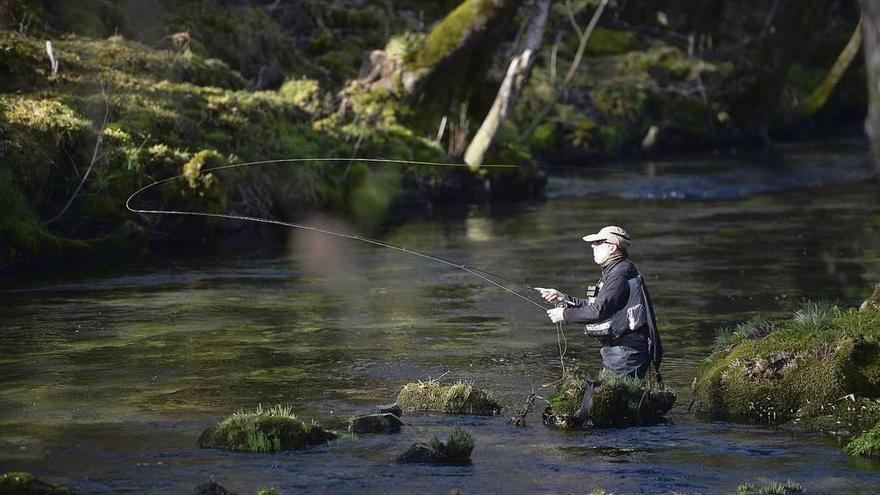 Pesca de trucha en el río Verdugo, en Ponte Caldelas. // Gustavo Santos