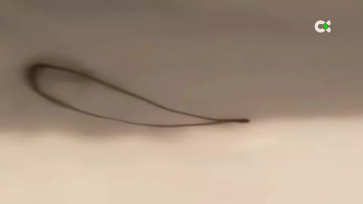 ¿Qué era el misterioso anillo oscuro que sobrevoló la Palma días atrás?