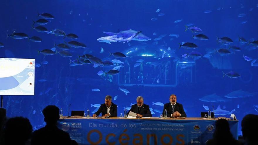 Canarias avanza hacia un santuario macaronésico de biodiversidad marina
