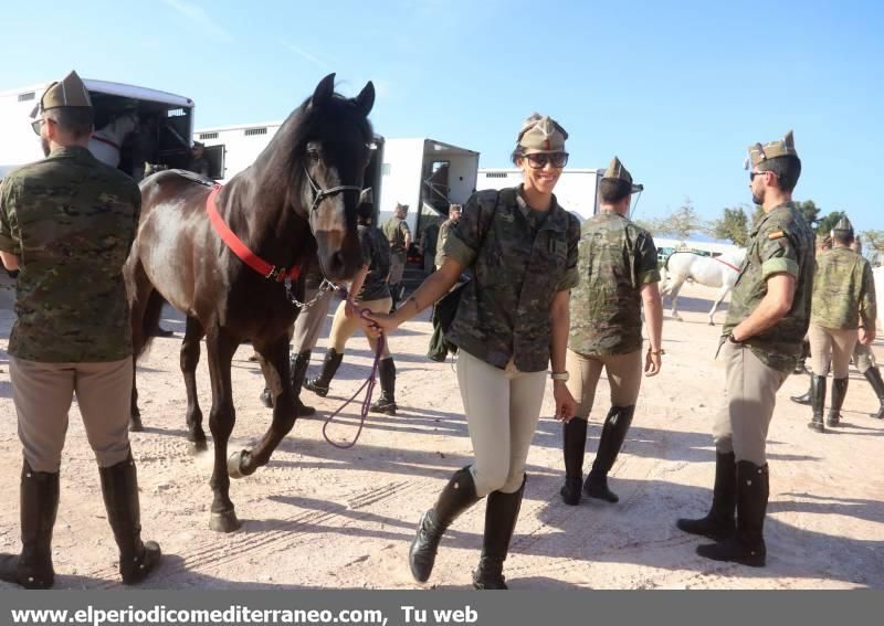 GUARDIA REAL