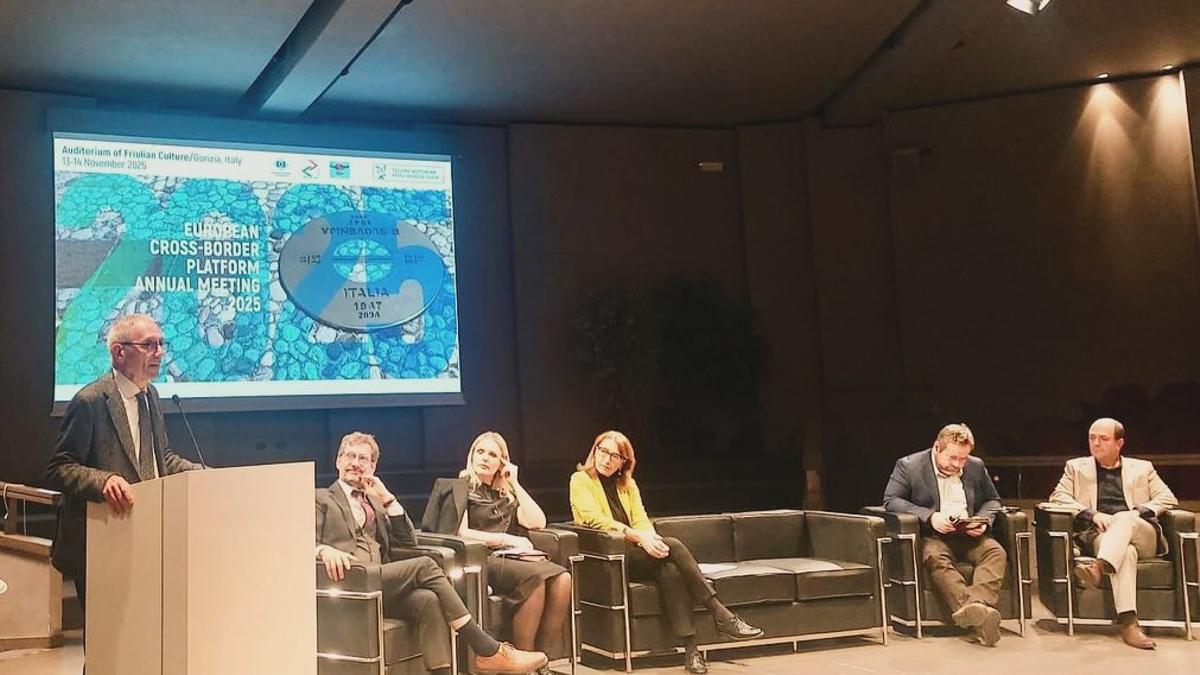 El director de l'AECT Hospital de Cerdanya durant la seva intervenció