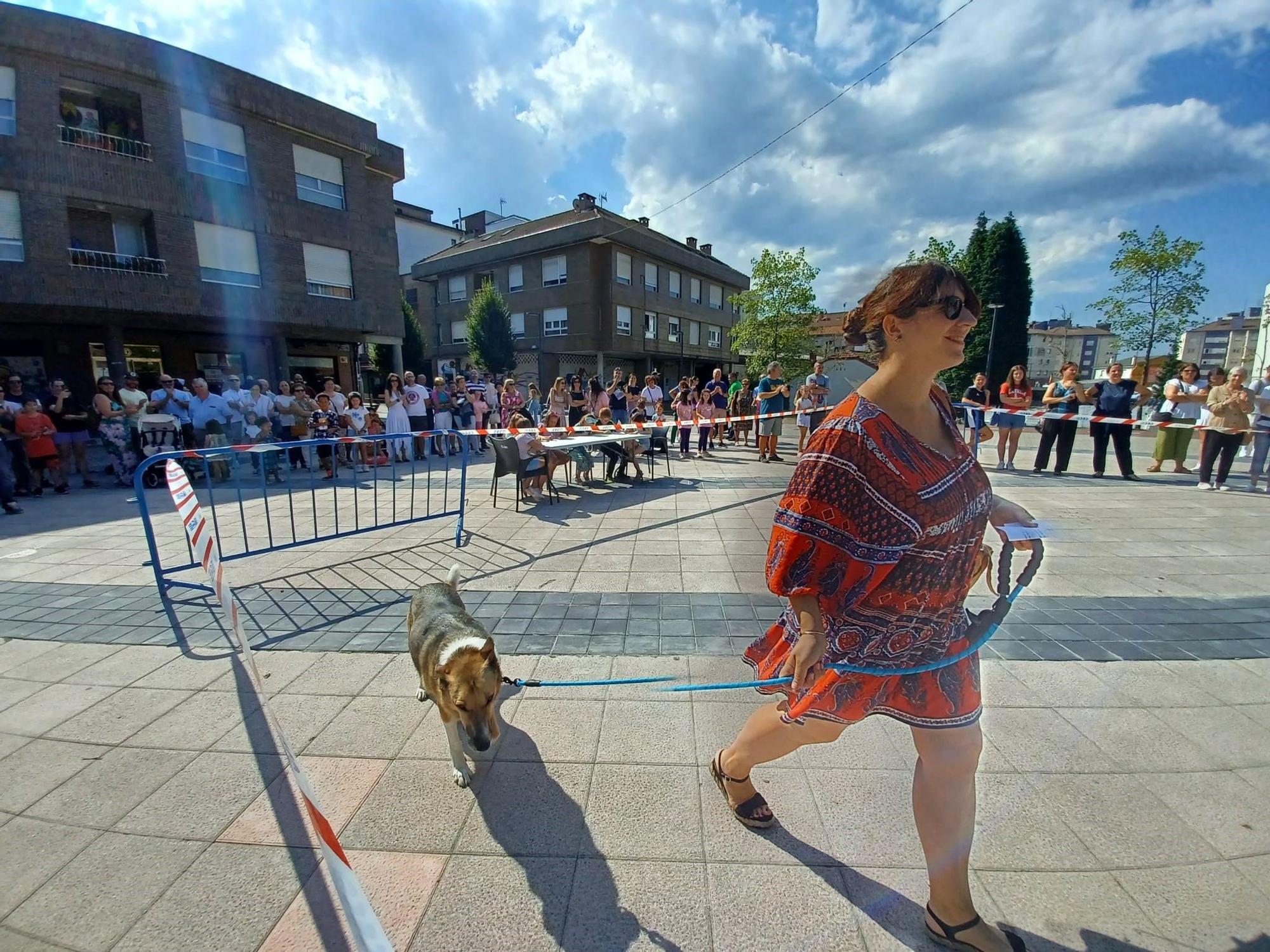 Desfile de perros en Llanera: así fue el concurso popular de canes