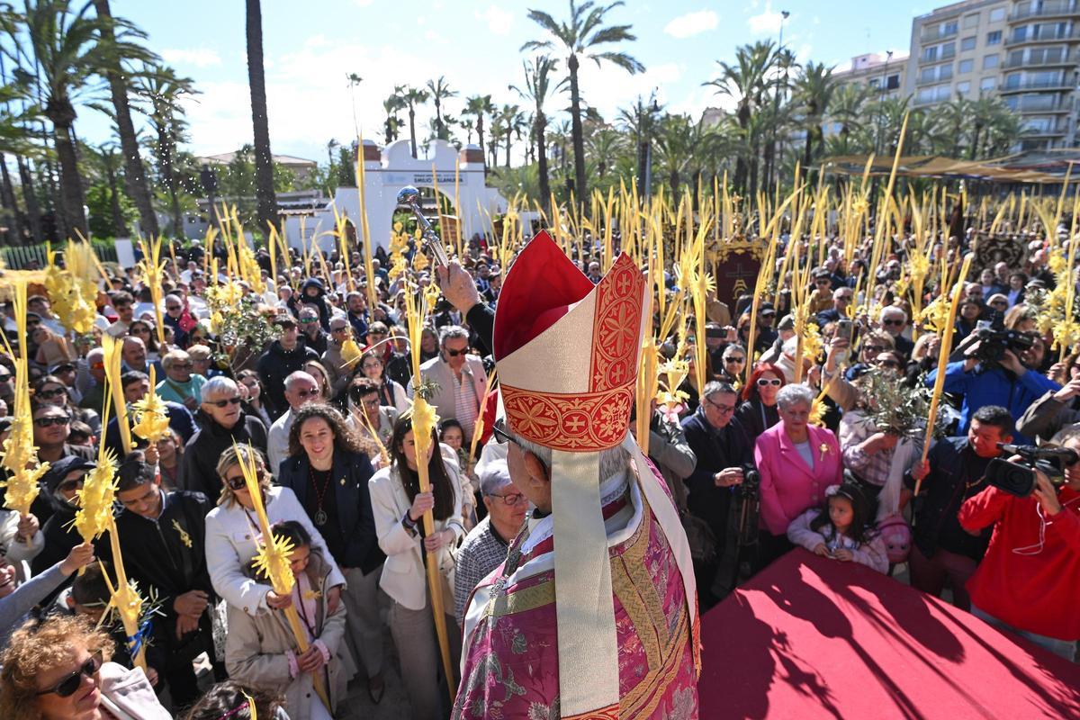 Las mejores imágenes del Domingo de Ramos en Elche