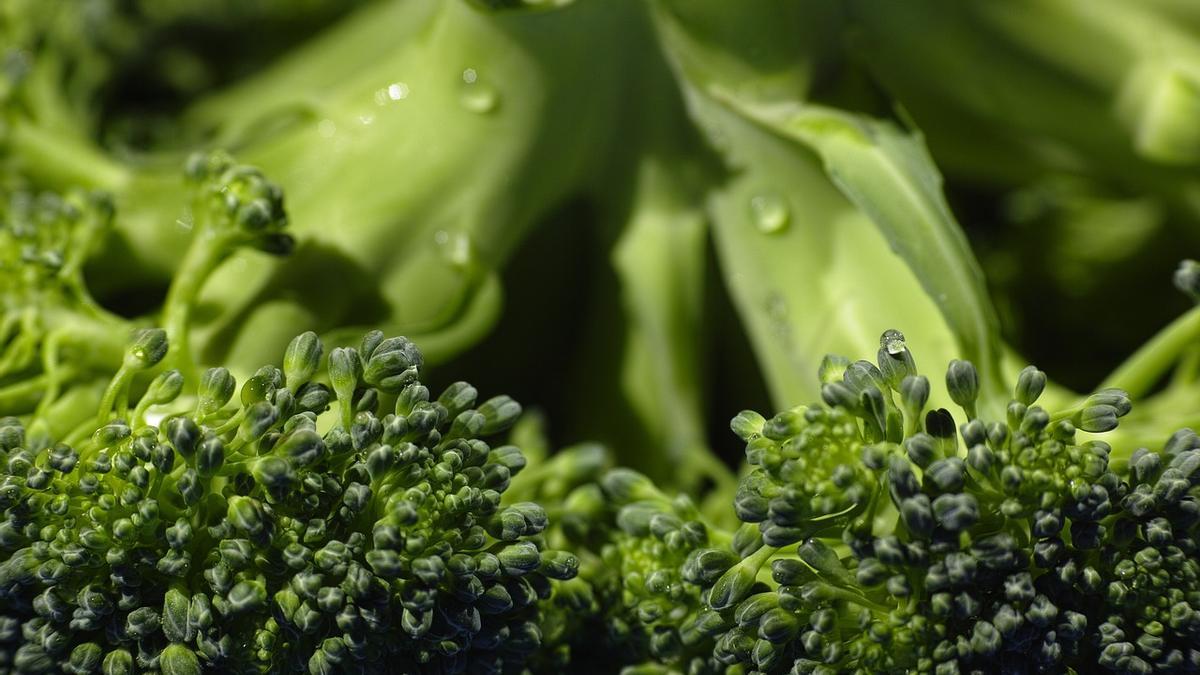 El brócoli es una de las verduras más saludables