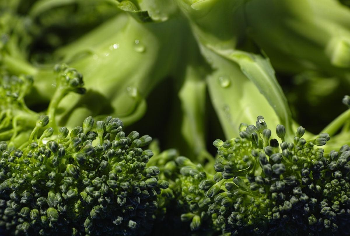 El brócoli es una de las verduras más saludables