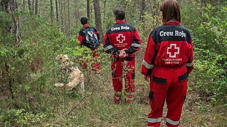 Tres voluntaris de la Creu Roja, amb un gos del seu equip de rastreig.