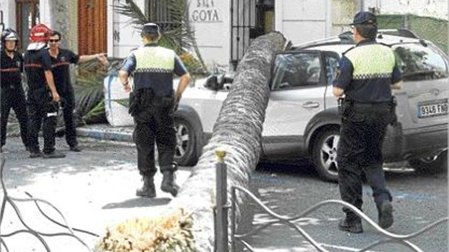 La palmera caída ayer destrozó un coche y causó heridas leves a una viandante.