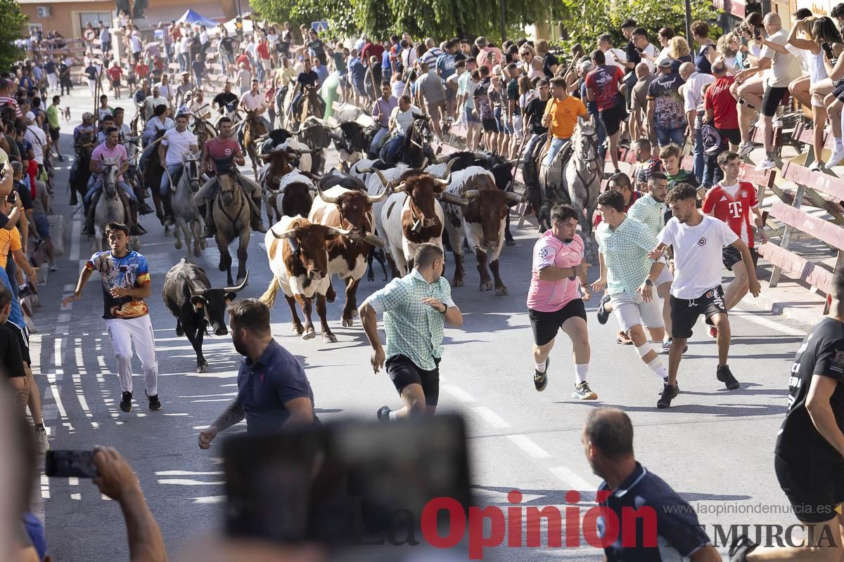 Séptimo encierro de las Fiestas de Moratalla