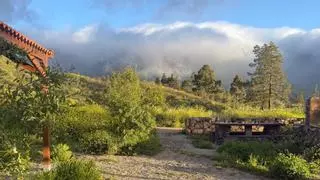 🔴DIRECTO | La borrasca deja viento muy fuerte, mala mar y lluvias en Canarias: avisos de la Aemet y última hora