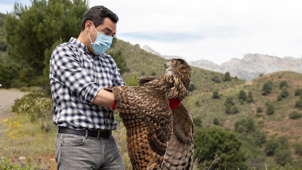 El presidente andaluz, Juanma Moreno, ha asistido en Tolox a la suelta de ejemplares de búho real y cárabo