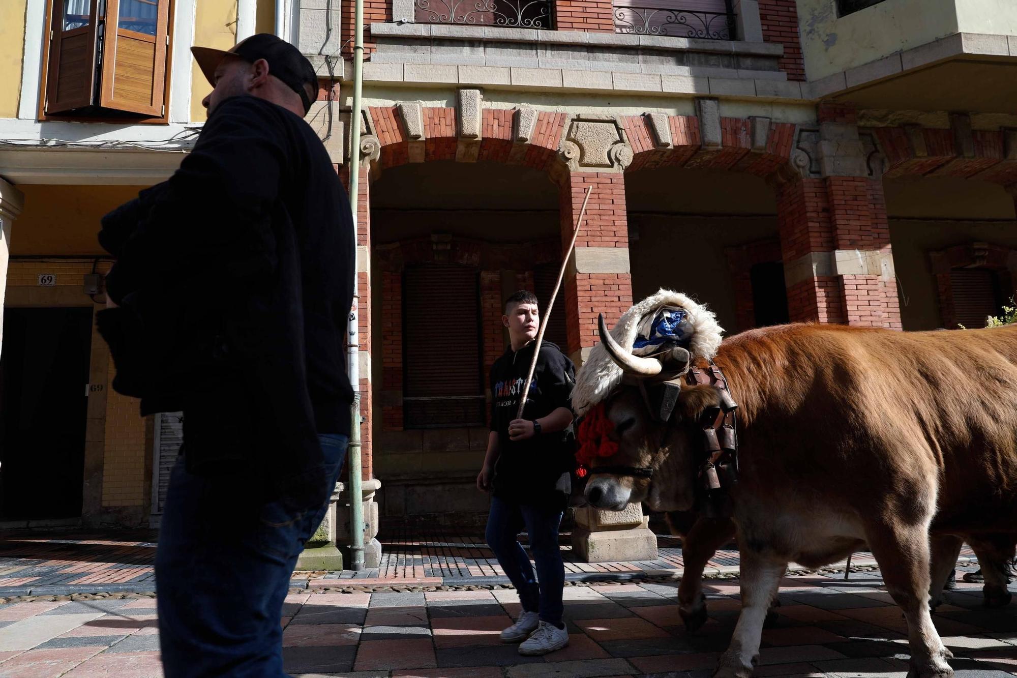 EN IMÁGENES: El Antroxu tradicional en Avilés