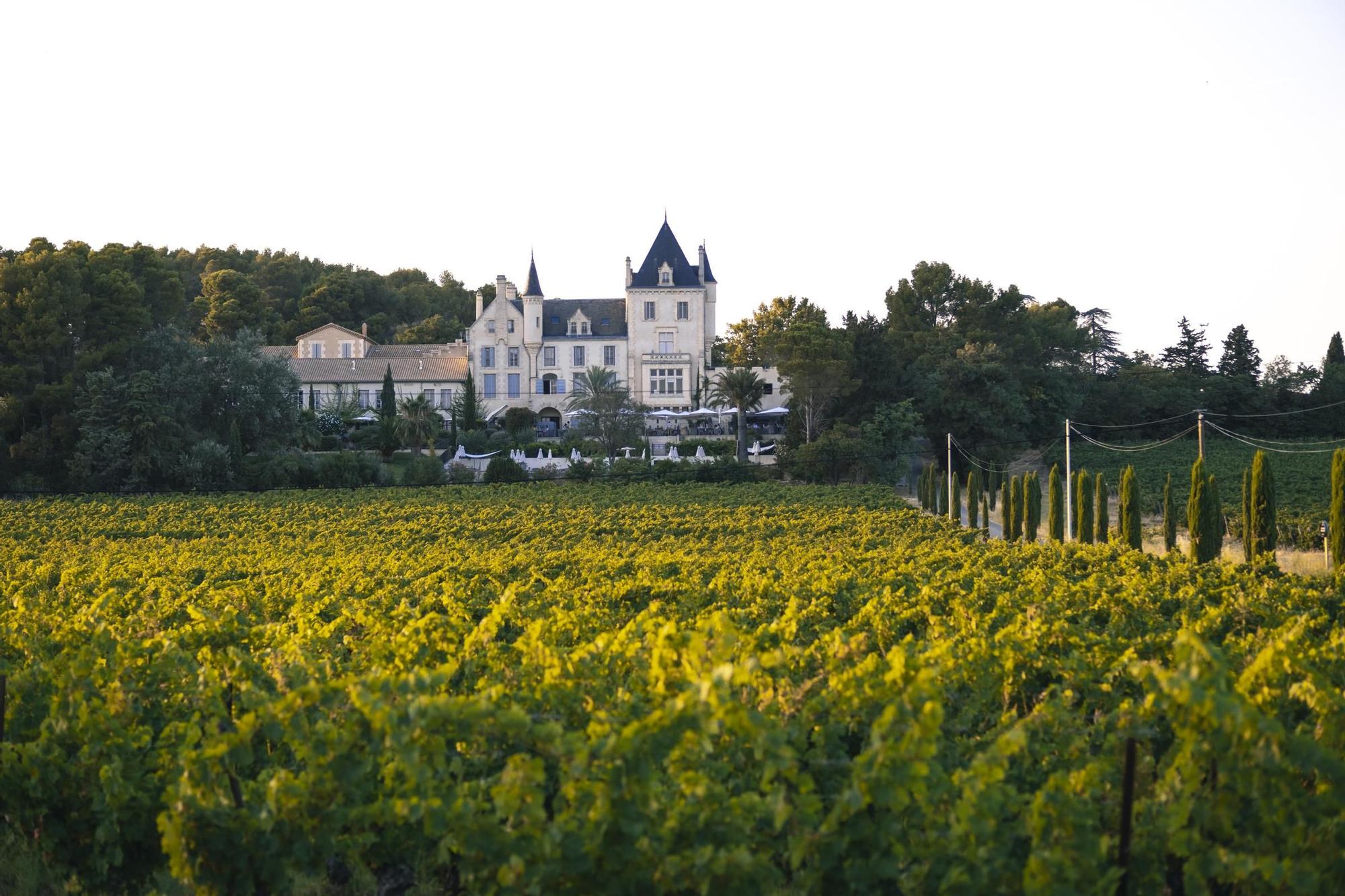 Los paisajes de viñedos con castillo en el Sur de Francia son únicos.