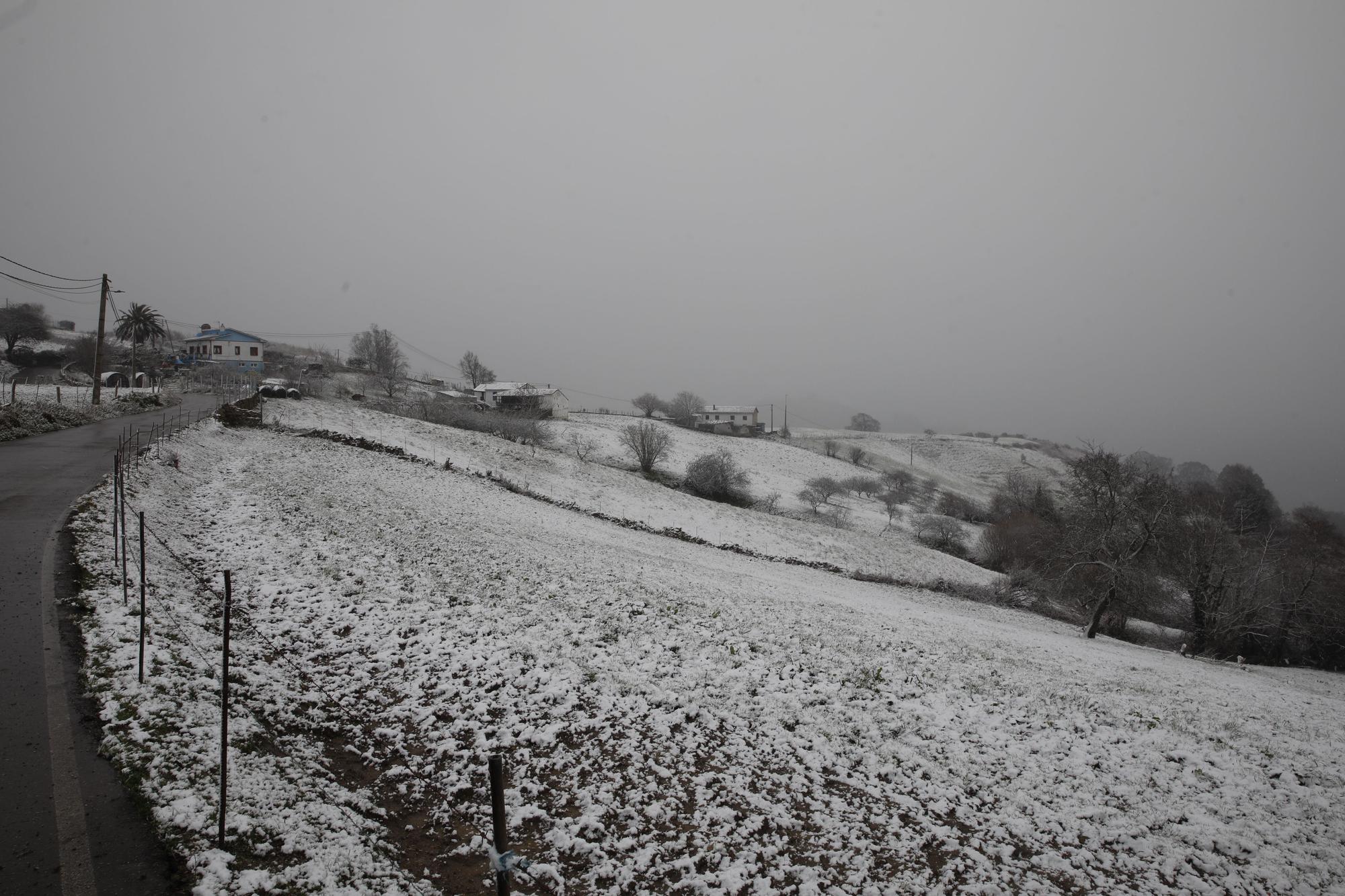 En imágenes: La borrasca Juliette llena de nieve parte de la zona rural de Gijón