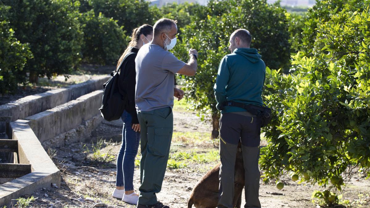 La Guardia Civil reanuda la búsqueda de Marta Calvo en un pozo de 60 metros de profundidad