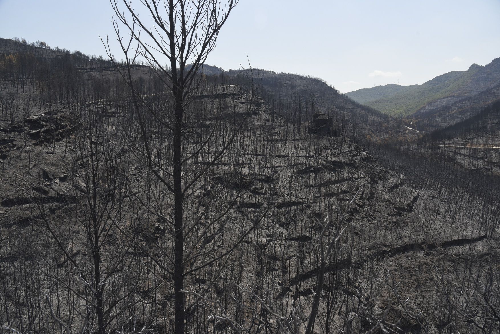 Així ha afectat el foc les tines de la Vall del Flequer