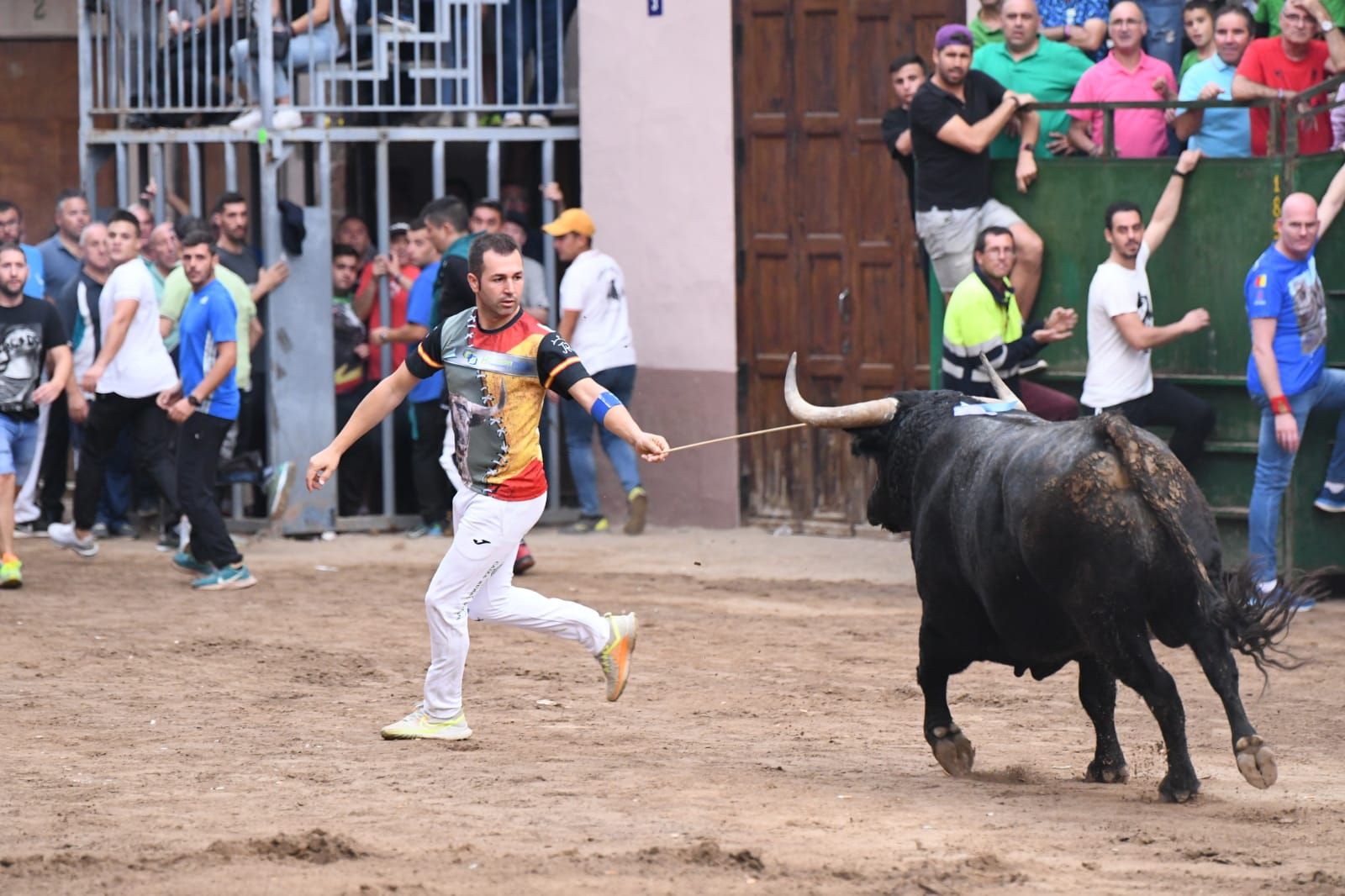 Exhibición de cuatro toros de Partida Resina en Onda