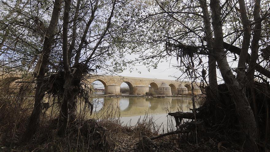 Los Sotos de la Albolafia de Córdoba