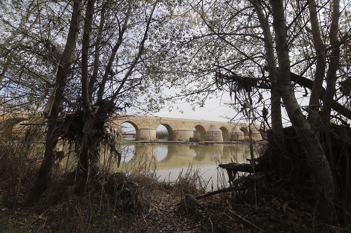 Los Sotos de la Albolafia de Córdoba