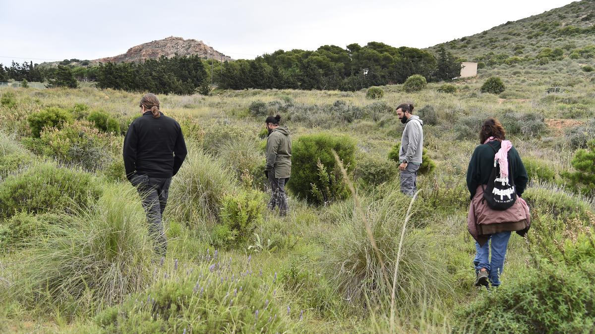 Recorrido por la parcela donde plantaron las especies hace seis años.