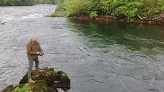 Arranca la búsqueda del Campanu en Asturias con mucha expectación y la sensación entre los pescadores de que cada vez "hay menos salmones”