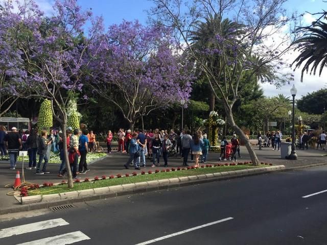 Concurso de Cruces de Flores Naturales