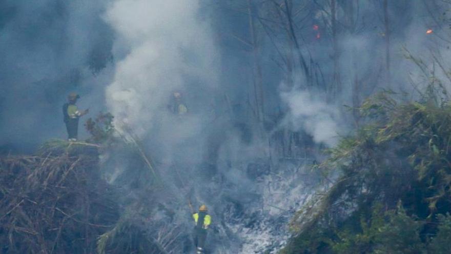 Los bomberos y los brigadistas extinguiendo las llamas.