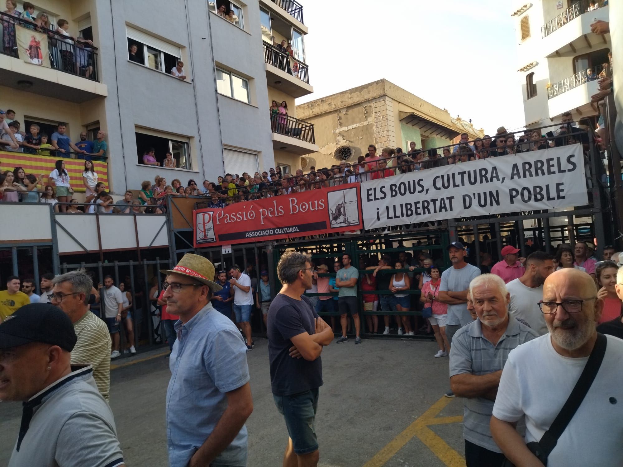 Pasión por los "bous al carrer" en Pedreguer