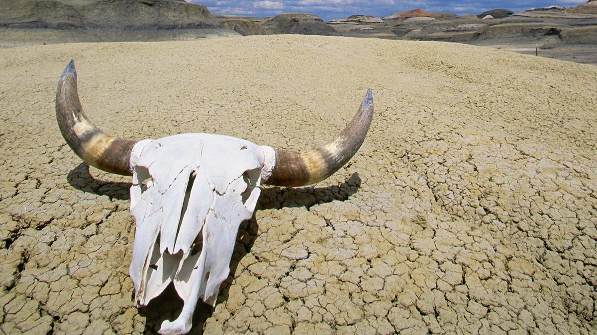 El Valle de la Muerte es el lugar más caluroso de la Tierra