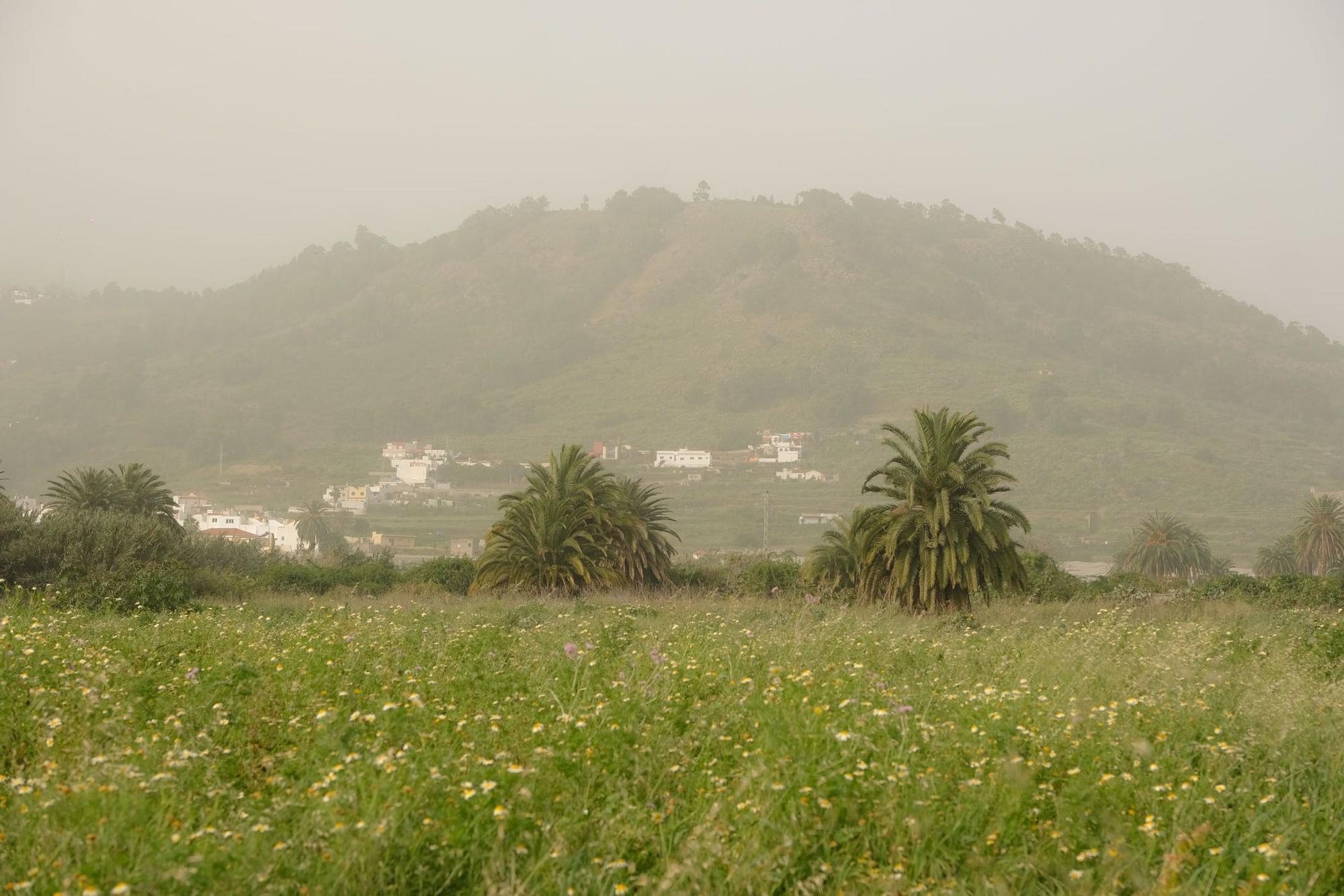 Calima en Gran Canaria