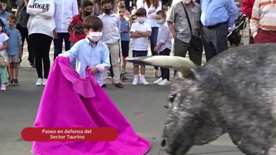 Paseo en defensa del sector taurino