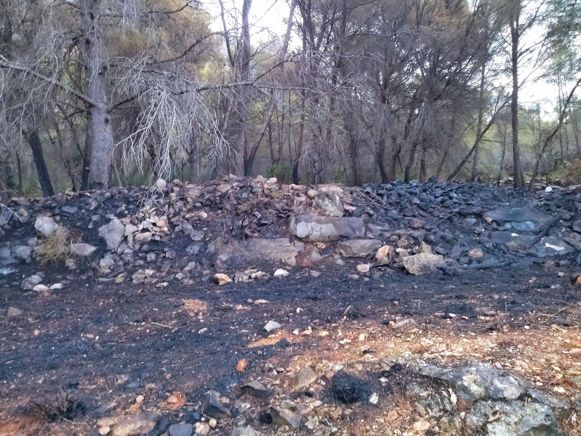 La lluvia refresca el bosque calcinado por el enésimo incendio en el Montgó