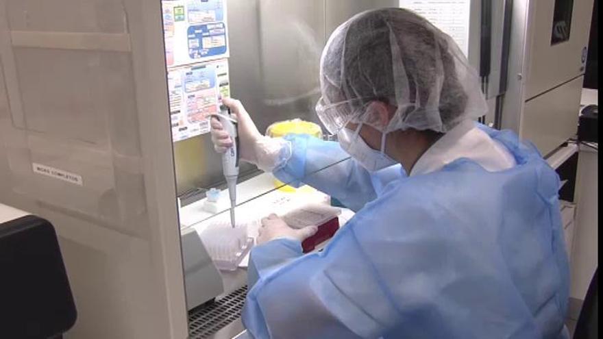 La primera vacuna contra el covid en Canarias se administrará en Tenerife