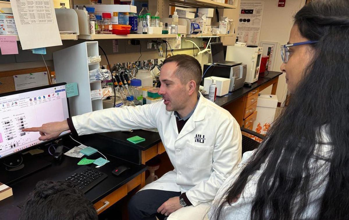 Un fàrmac antiepilèptic pot prevenir l’Alzheimer