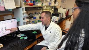 Un fàrmac antiepilèptic pot prevenir l’Alzheimer