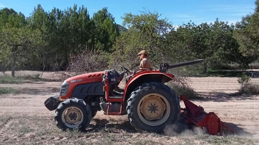 Los cazadores de Sant Josep siembran 156 hectáreas para «preservar el paisaje rural»