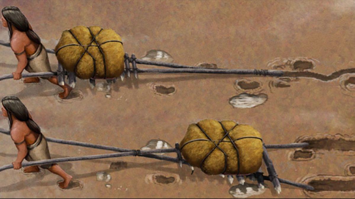 Las marcas icnofósiles que acompañan a las huellas humanas antiguas en White Sands, Nuevo México, sugieren el uso de los travois, una tecnología de transporte simple que se asemeja a un trineo, hace casi 22.000 años.