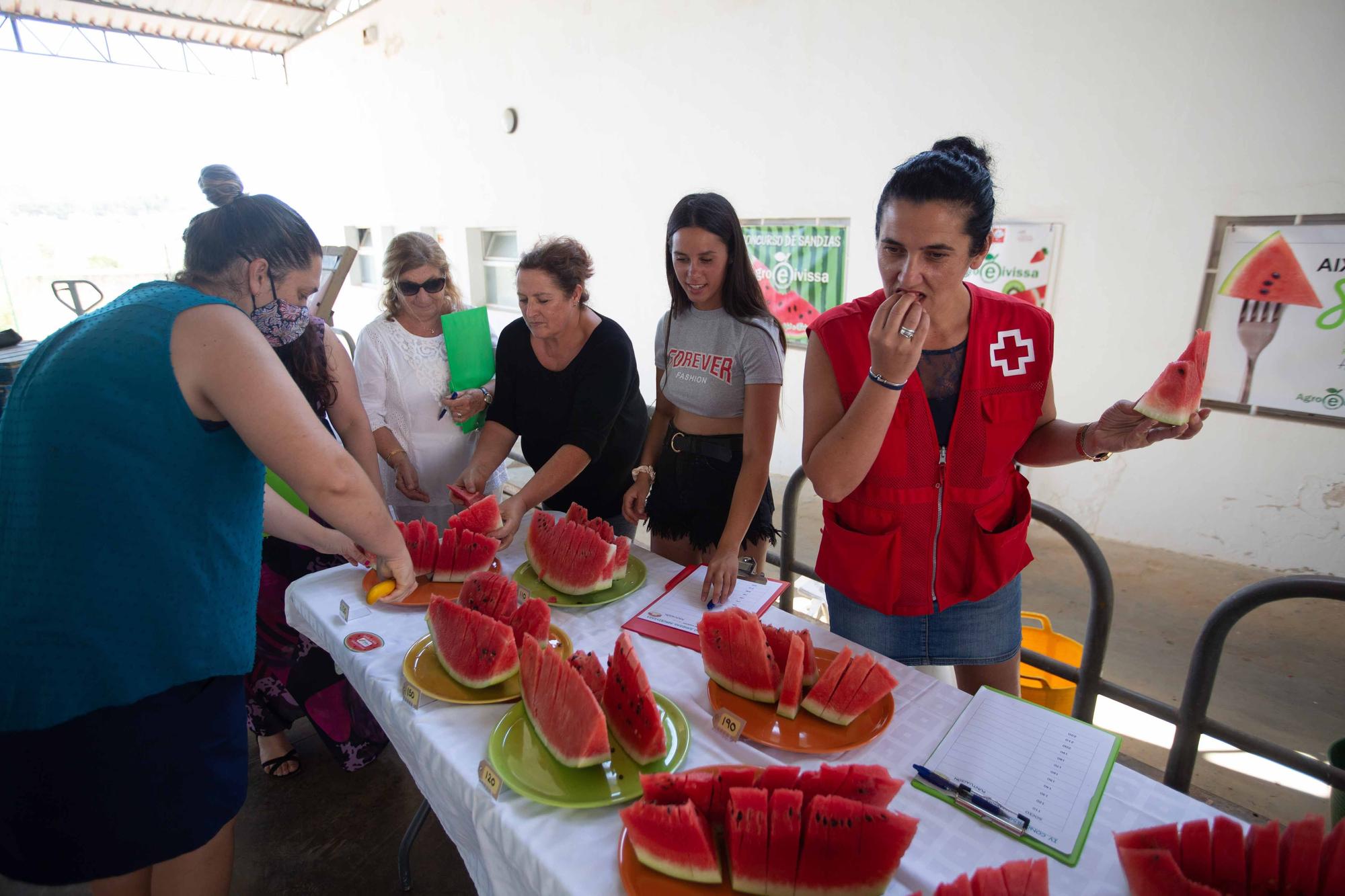 La ‘sandía más grande del mundo’ pesa 20 kilos y es de es Canar