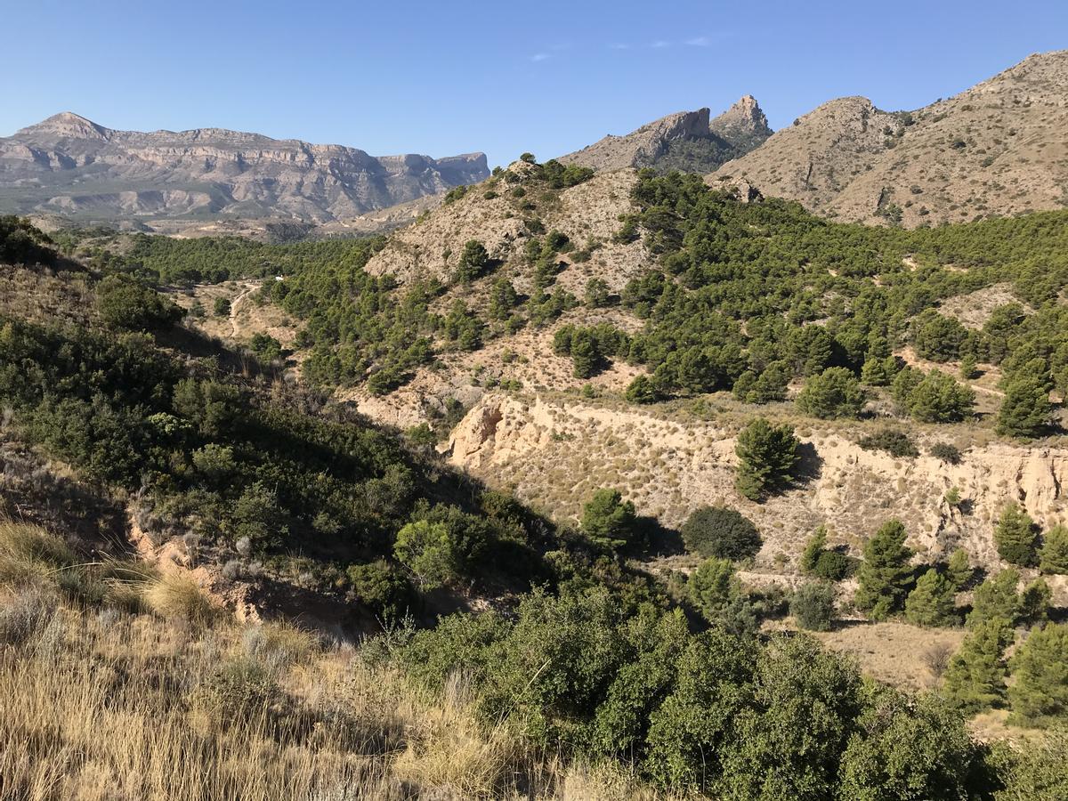 Uno de los enclaves del Paisaje Protegido de las Sierras del Maigmó y del Cid.