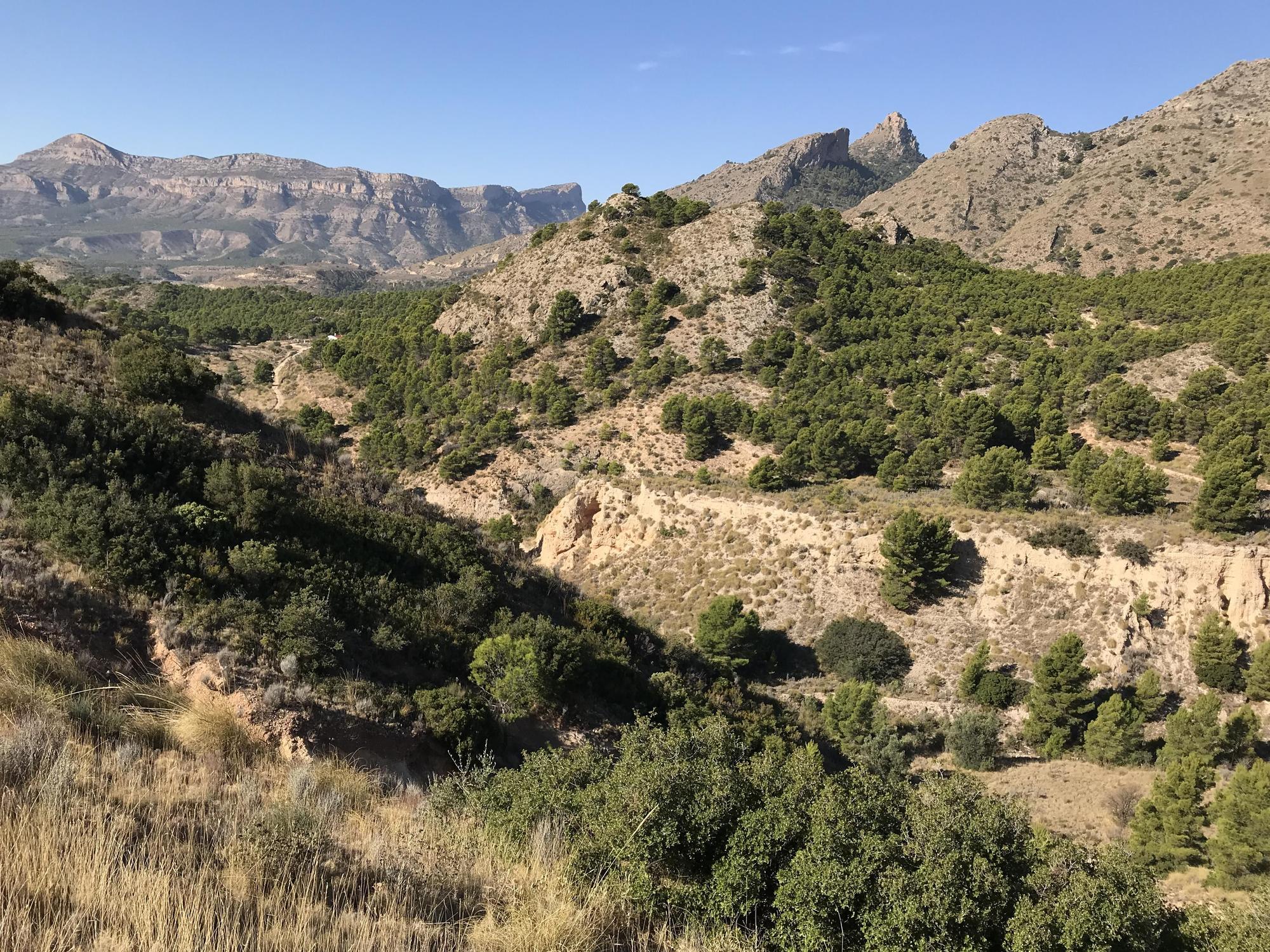 Uno de los enclaves del Paisaje Protegido de las Sierras del Maigmó y del Cid.