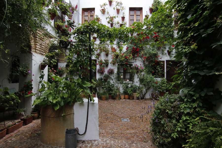 Los Patios de Córdoba: Centro / Judería