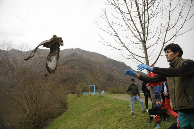 Los "pacientes" del HUCA de los animales de Asturias