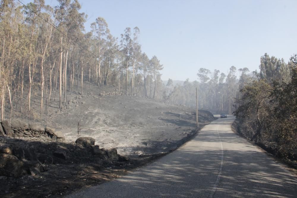 Incendios en Galicia | Segunda jornada de lucha contra el fuego en Cotobade