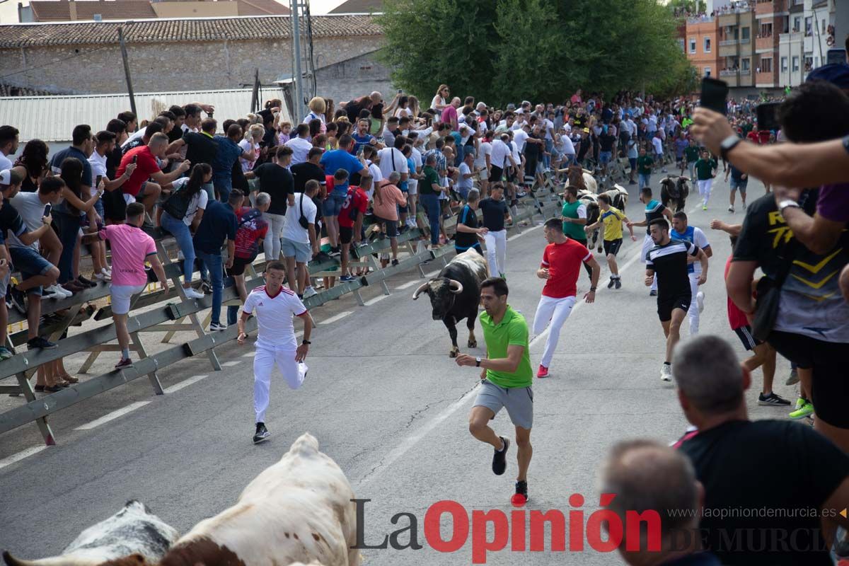 Primer encierro de la Feria del Arroz de Calasparra