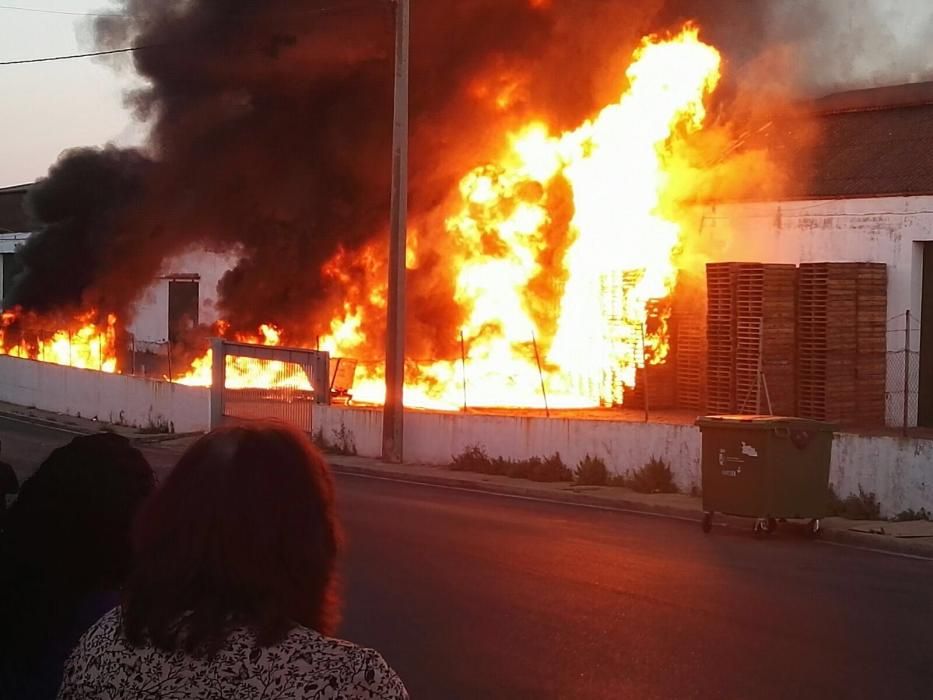 Un voraz incendio consume el interior de la cooperativa de Alginet